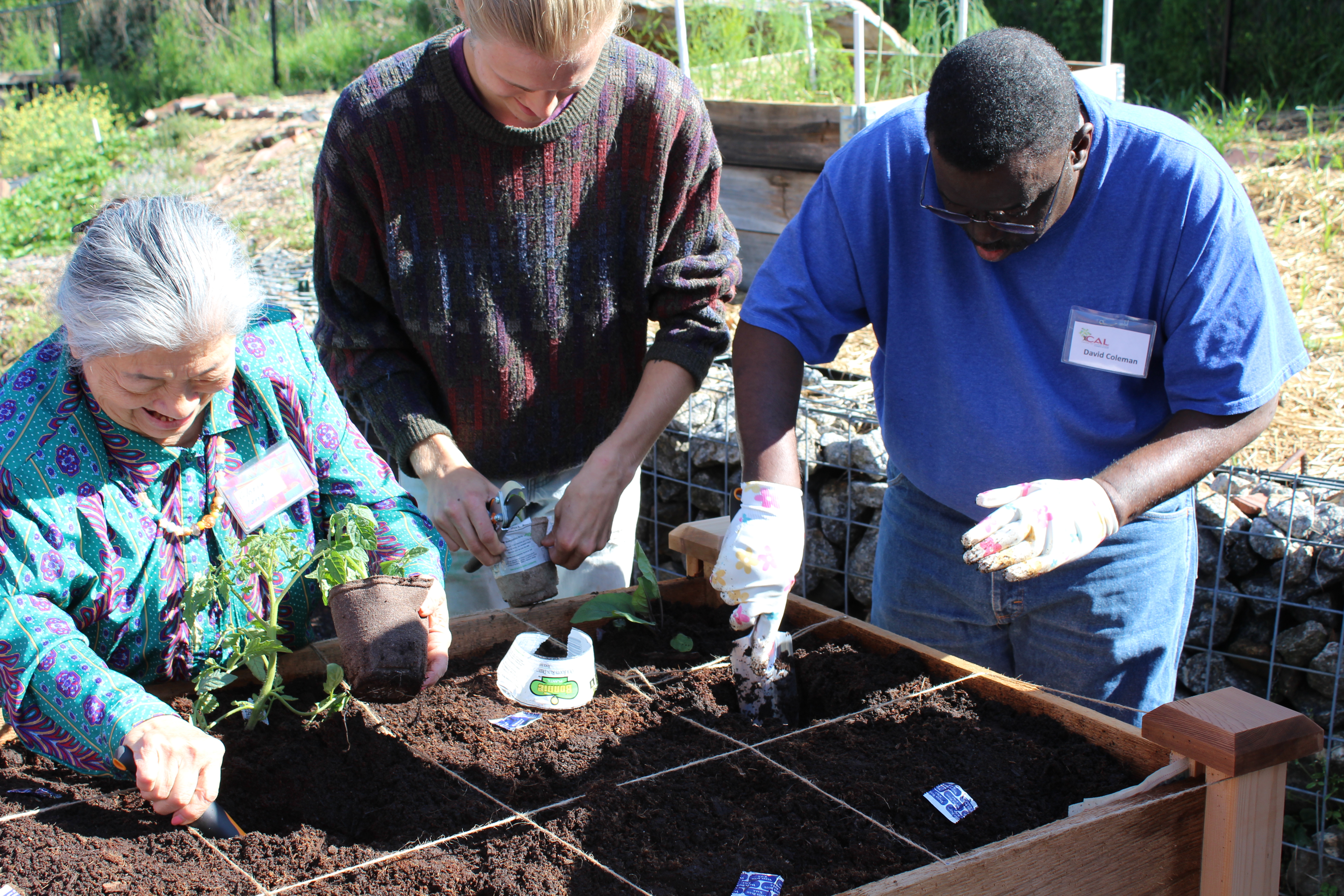 ACCA Seeks Garden Volunteers « Athens Community Council on Aging