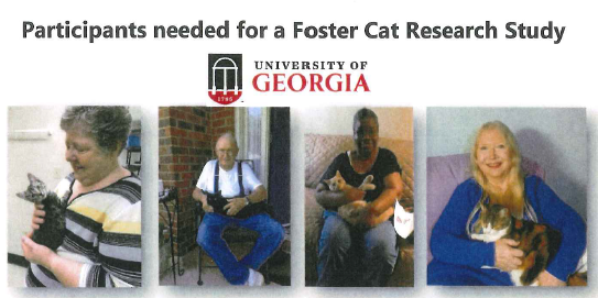 Foster Cat Research Study